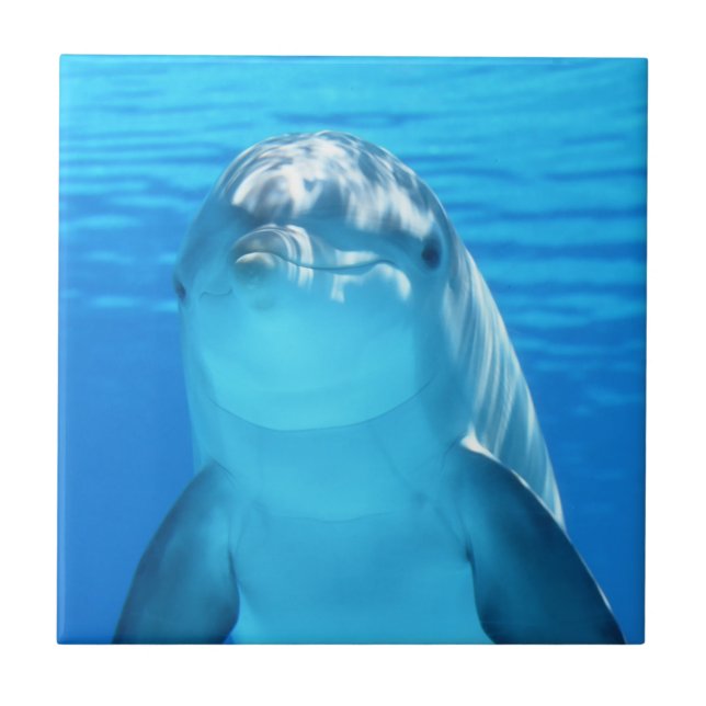 Carreau Animal marin de dauphin mignon en mer bleue (Devant)