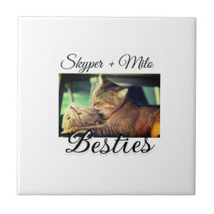 Carreau Animaux de compagnie amis besties ajouter nom anim