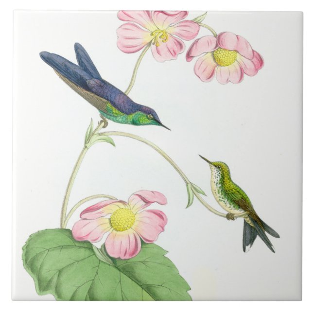 Carreau Animaux floraux de faune de fleurs d'oiseaux de (Devant)