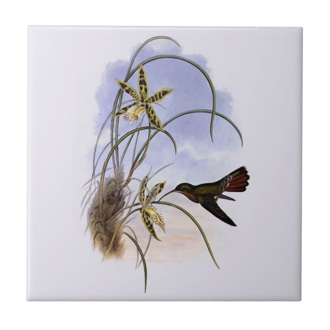 Carreau Animaux vintages, Fleurs d'orchidées d'oiseaux col (Devant)