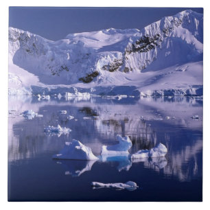 Carreau Antarctique, baie du Paradis