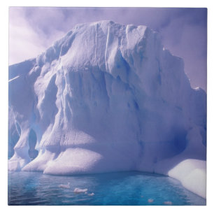 Carreau Antarctique. Sévices de l'Antarctique