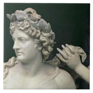 Carreau Apollo a tendu par les nymphes, représentation de