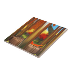 Carreau Après le carrelage décoratif du vent