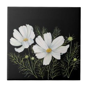 Carreau Aquarelle Blanc Cosmos Fleurs Peinture Botanique