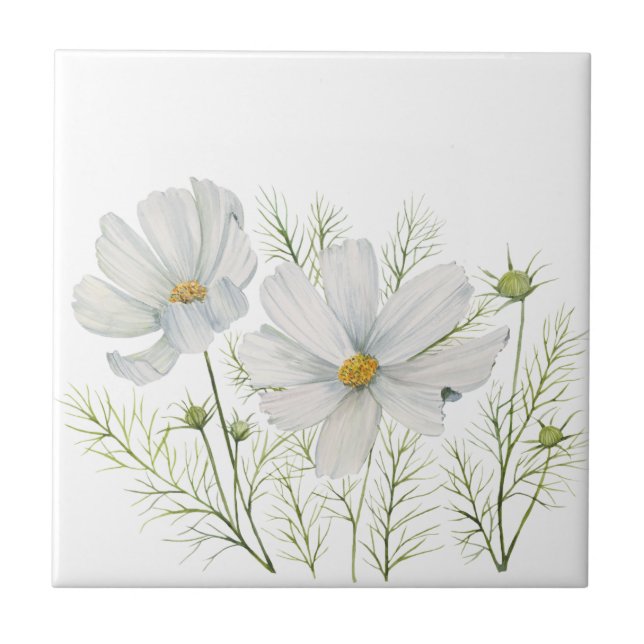 Carreau Aquarelle Blanc Cosmos Fleurs Peinture Botanique (Devant)