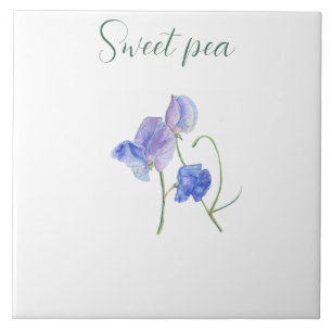 Carreau Aquarelle botanique de fleur de pois doux bleu