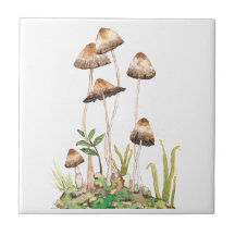 Aquarelle Brown de champignons forestiers