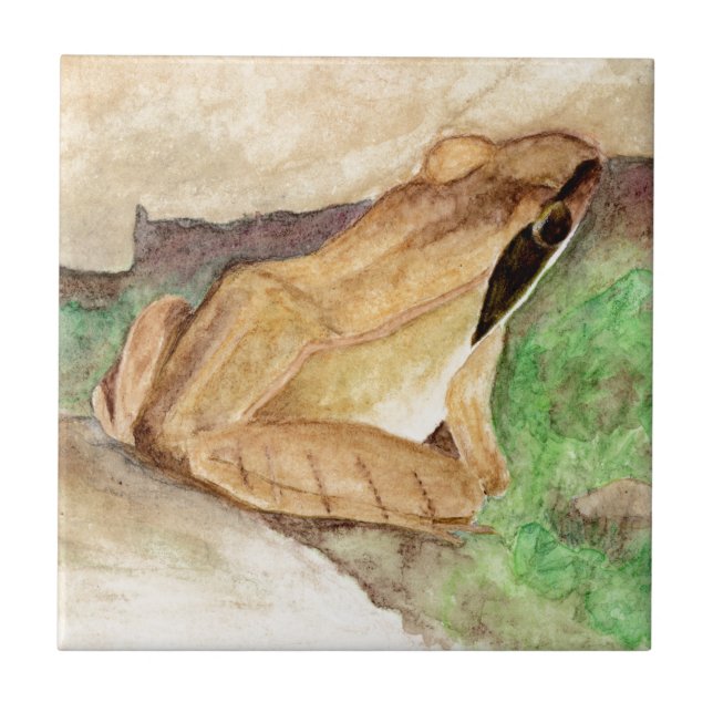 Carreau Aquarelle de grenouille à bois (Devant)