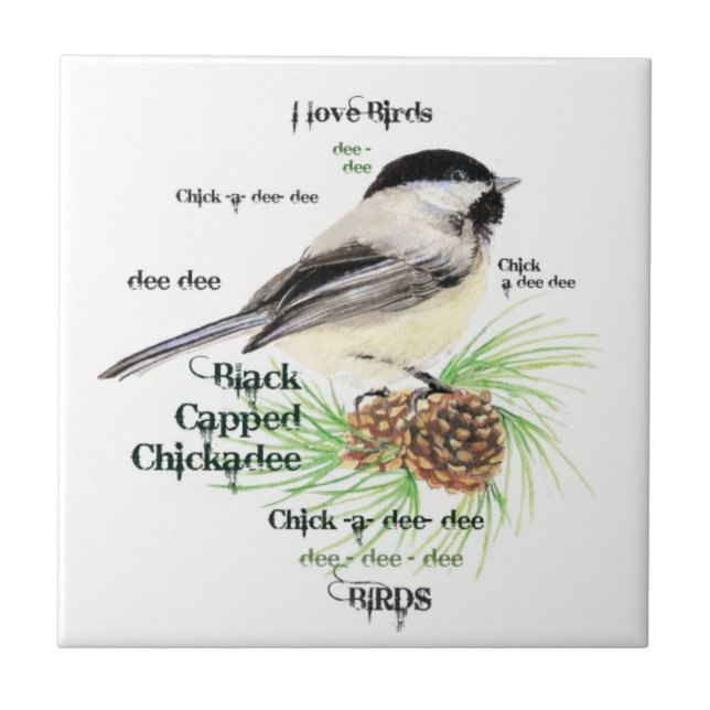 Carreau Aquarelle Noir Capped Chickadee Oiseau Art (Devant)