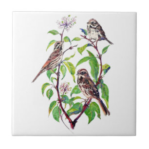 Carreau Aquarelle Petit Oiseau dans le Dogwood Bird Art