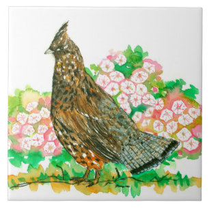 Carreau Aquarelle Rouffée Groupement Gamme Oiseau Laurel