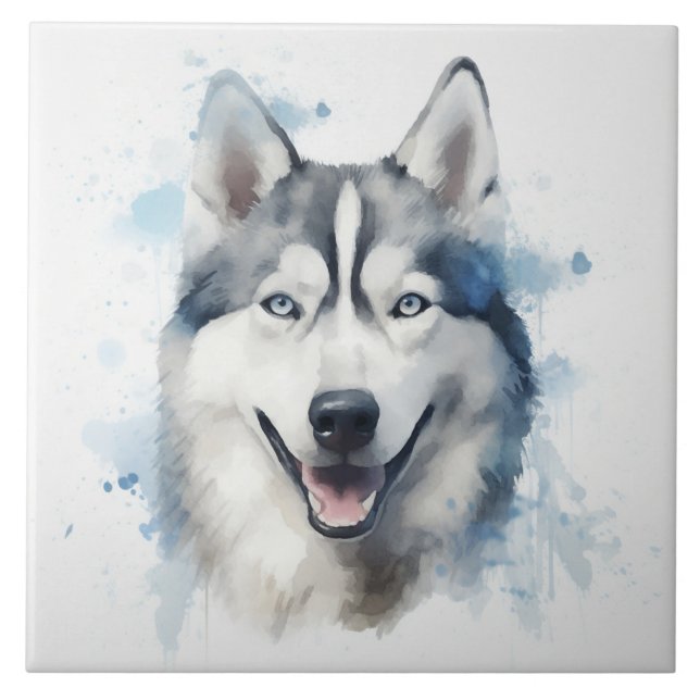 Carreau Aquarelle sibérienne Husky (Devant)