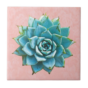 Carreau Aquarelle Succulente sur dentelle rose pâle