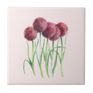 Carreau Aquarelle violet rose Allium Peinture botanique