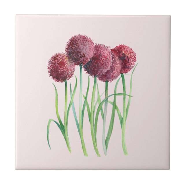 Carreau Aquarelle violet rose Allium Peinture botanique (Devant)