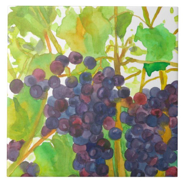 Carreau Aquarelle violette Raisins de vin (Devant)