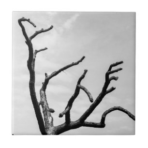 Carreau arbre libre