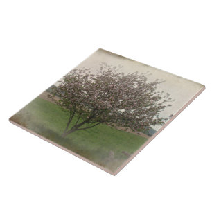 Carreau Arbre pomme en fleurs