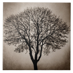 Carreau Arbre Silhouette Design 205