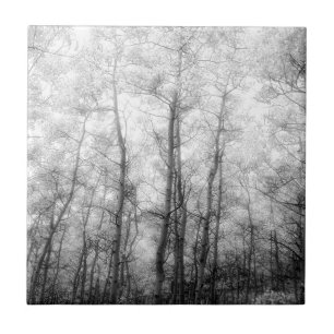 Carreau Arbres d'Aspen - Noir et blanc