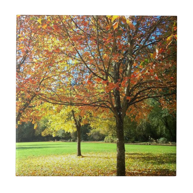 Carreau Arbres d'automne colorés (Devant)