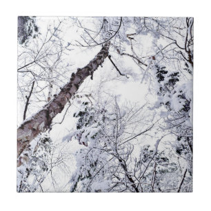 Carreau Arbres de forêt enneigés en hiver 1