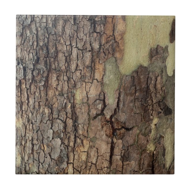 Carreau Arbres de forêt rustiques (Devant)