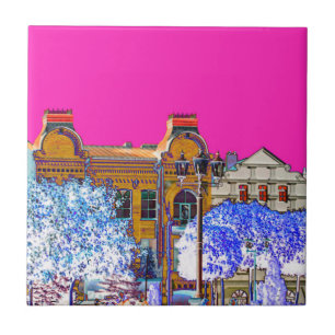 Carreau Architecture de Grodno Belarus