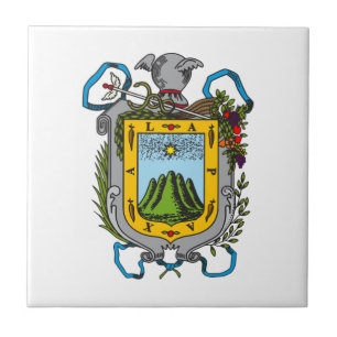 Carreau Armoiries de Xalapa, Mexique Carrelage en céramiqu