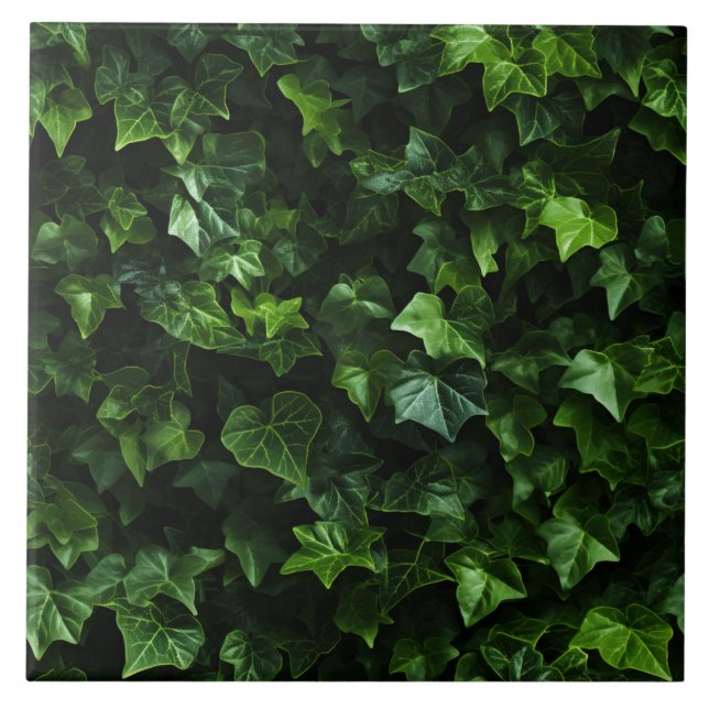 Carreau Arrière - plan ivoire, Feuilles verts, réalisme na (Devant)