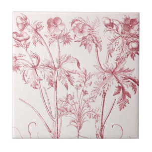 Carreau Art botanique Vintage rose
