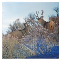 Art de faune de photoshop de photographie