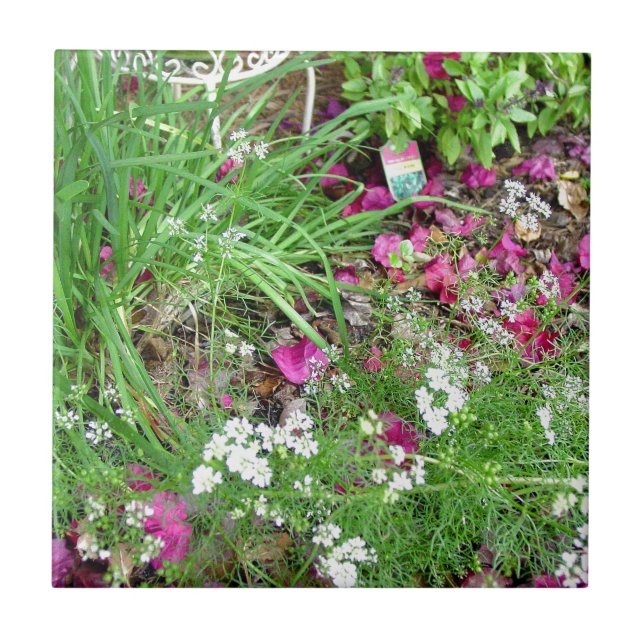 Carreau Art de photographie de ciboulette de collection (Devant)