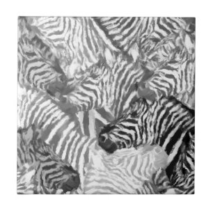 Carreau Art Zèbre noir et blanc Abstrait