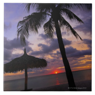 Carreau Aruba, silhouette de palmier et de palapa dessus