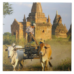 Carreau Asie, Myanmar (Birmanie), Bagan (païen). Un chari