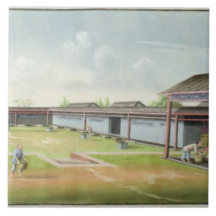 Carreau Assortissant le petit feuille pour sécher (la