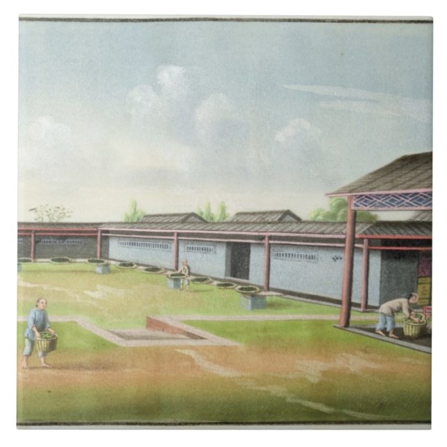 Carreau Assortissant le petit feuille pour sécher (la (Devant)