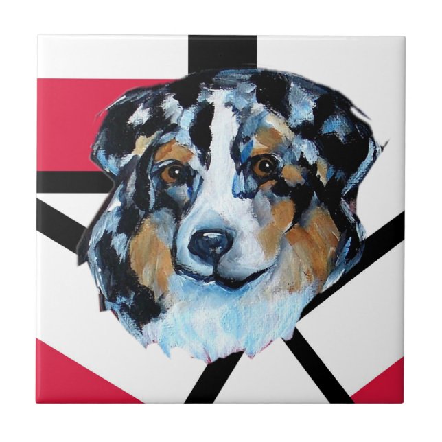 CARREAU AUSTRALIAN SHEPHERD (Devant)