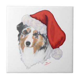 Carreau Australian Shepherd Noël