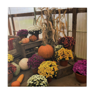 Carreau Autumn Decor