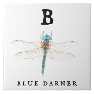Carreau "B" Bleu Darner