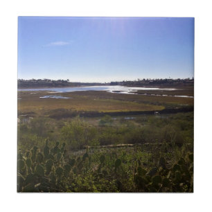 Carreau Back Bay, Newport Beach, Californie