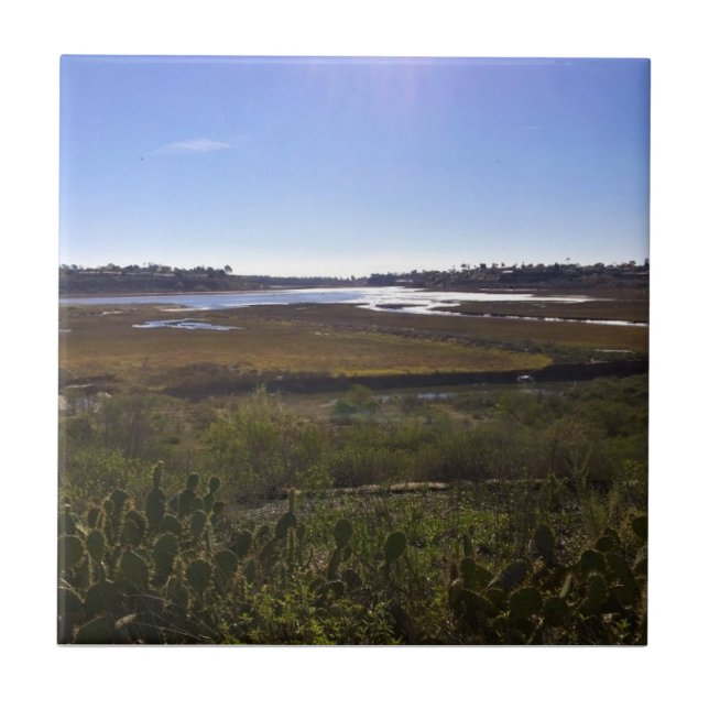 Carreau Back Bay, Newport Beach, Californie (Devant)