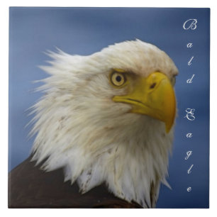 Carreau Bald Eagle Wildlife Photo Carrelage cadeau ou Triv