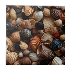 Carreau Balnéaire Coquillages Céramique Carrelage