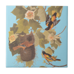Carreau Baltimore Oriole Audubon Bird Family avec nid