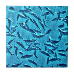 Carreau Banc des poissons