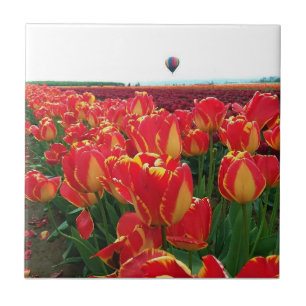 Carreau Banja Luka Tulips à Field with Hot Air Balloon